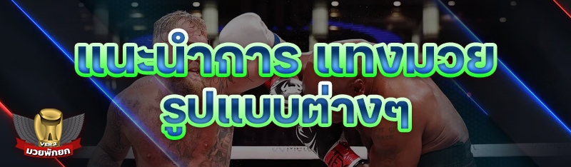 แนะนำการ แทงมวย รูปแบบต่างๆ