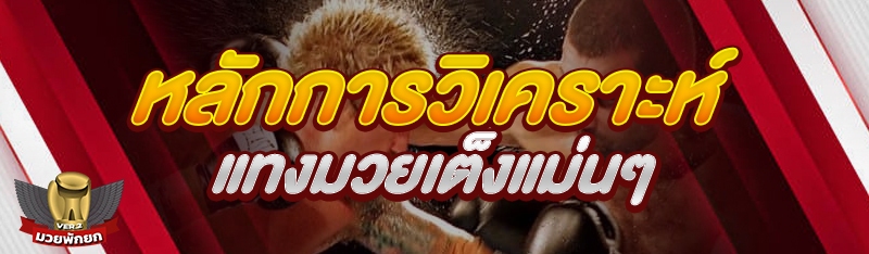 หลักการวิเคราะห์แทงมวยเต็งแม่น