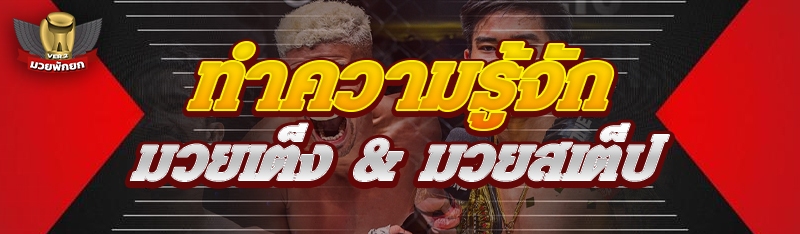 ทำความรู้จัก มวยเต็ง & มวยสเต็