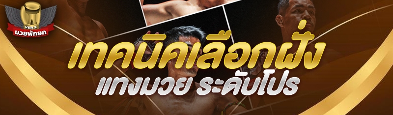 เทคนิคเลือกฝั่งแทงมวย ระดับโปร