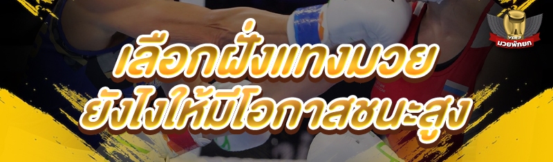 เลือกฝั่งแทงมวย ยังไงให้มีโอกา