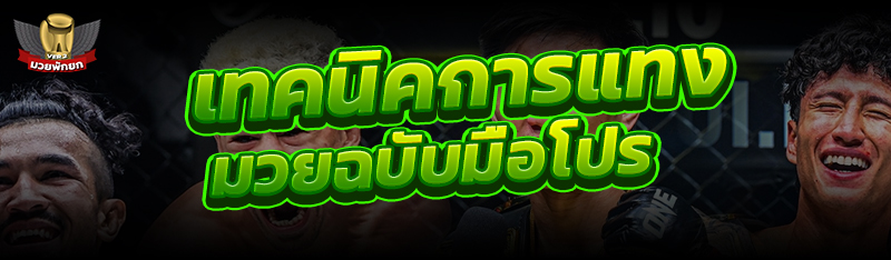 เทคนิคการแทงมวยฉบับมือโปร