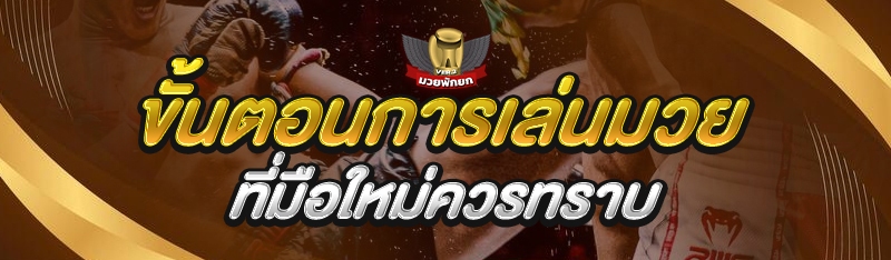 ขั้นตอนการเล่นมวย ที่มือใหม่คว