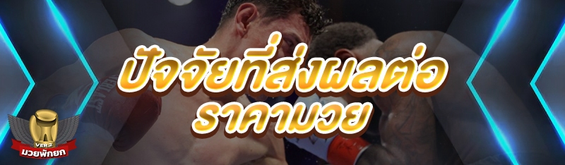 ปัจจัยที่ส่งผลต่อ ราคามวย