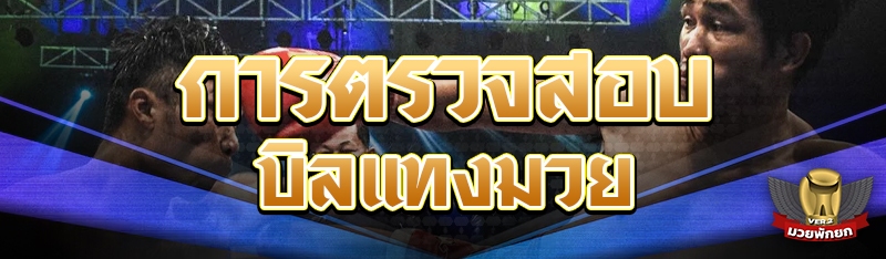 การตรวจสอบบิลแทงมวย
