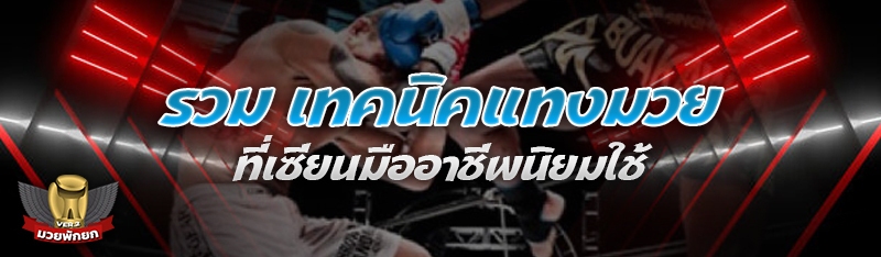 รวม เทคนิคแทงมวย ที่เซียนมืออา