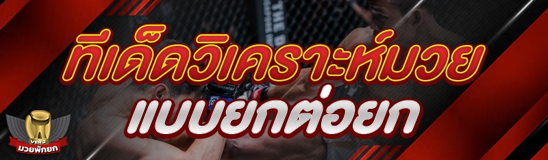 ทีเด็ดวิเคราะห์มวย แบบยกต่อยก